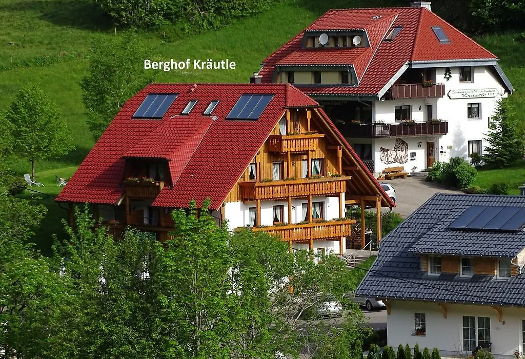 Schwarzwald Aparthotel Kräutle-1